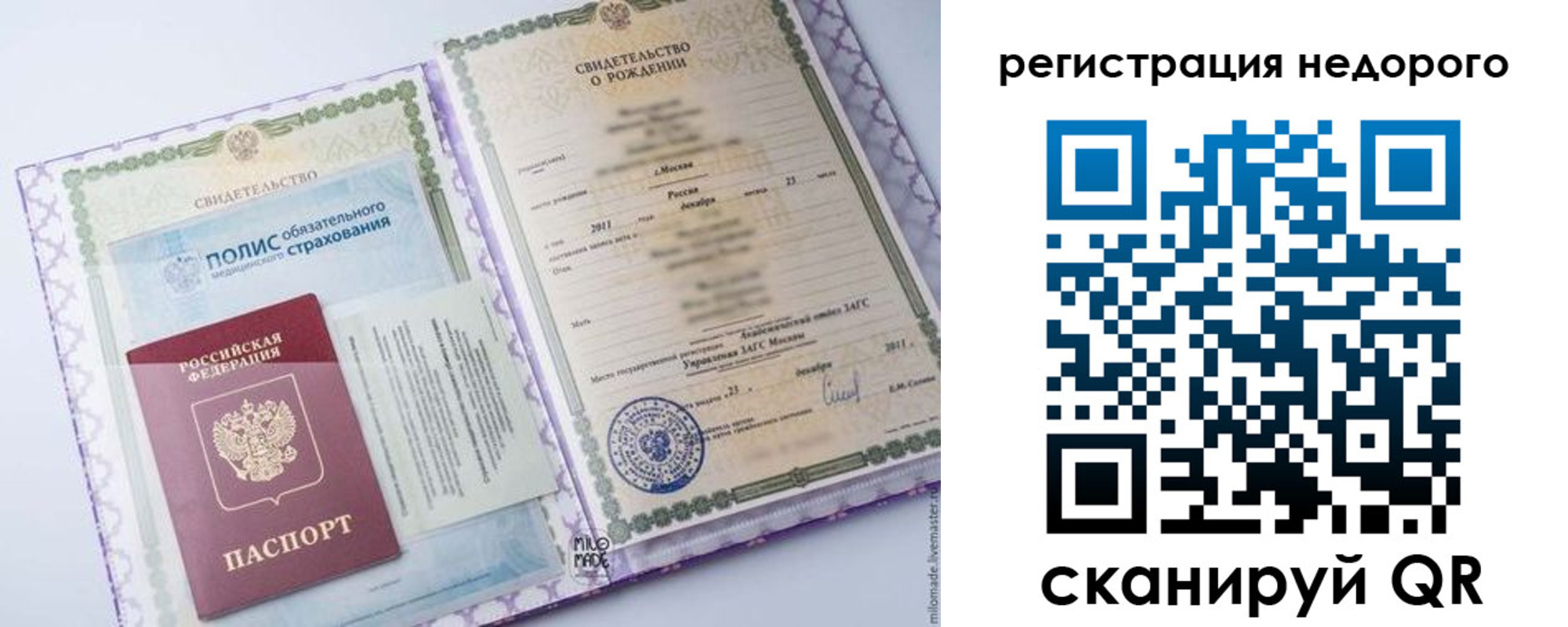прописка ребенка в Жукове